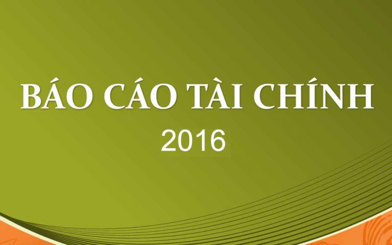 4494BÁO CÁO TÀI CHÍNH 2015 1