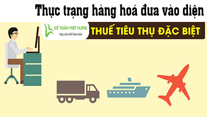 thue-tieu-thu-dac-biet-la-gi-thuc-trang-hang-hoa-dua-vao-dien-thue-ttdb