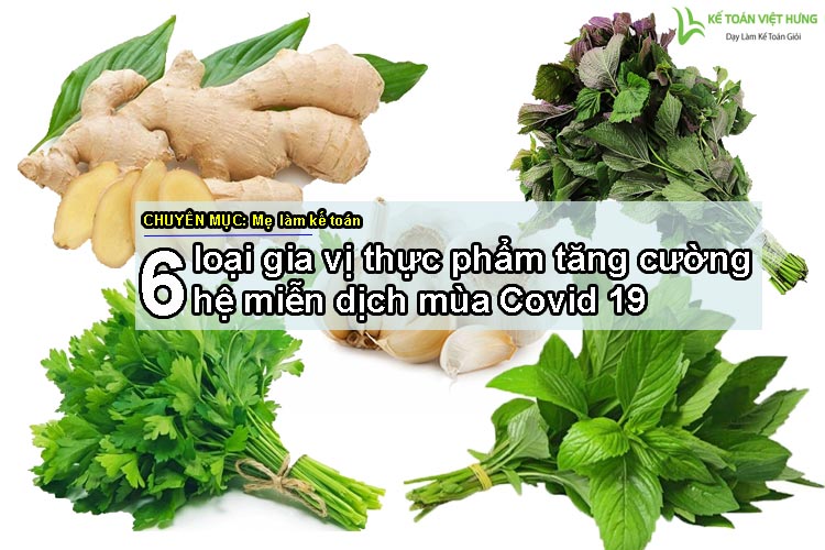 thực phẩm tăng cường hệ miễn dịch