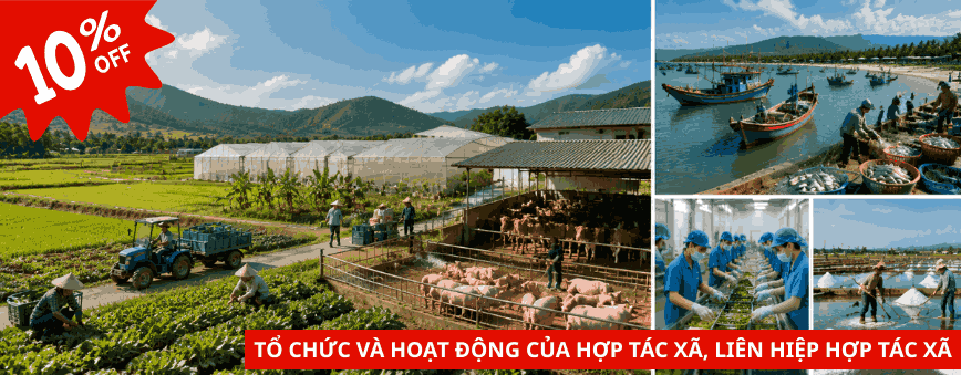 kế toán hợp tác xã 2