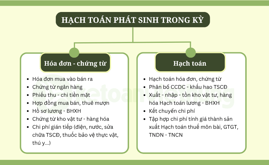 kế toán hợp tác xã 4
