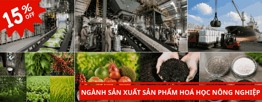 kế toán tổng hợp công ty sản xuất phân bón 2