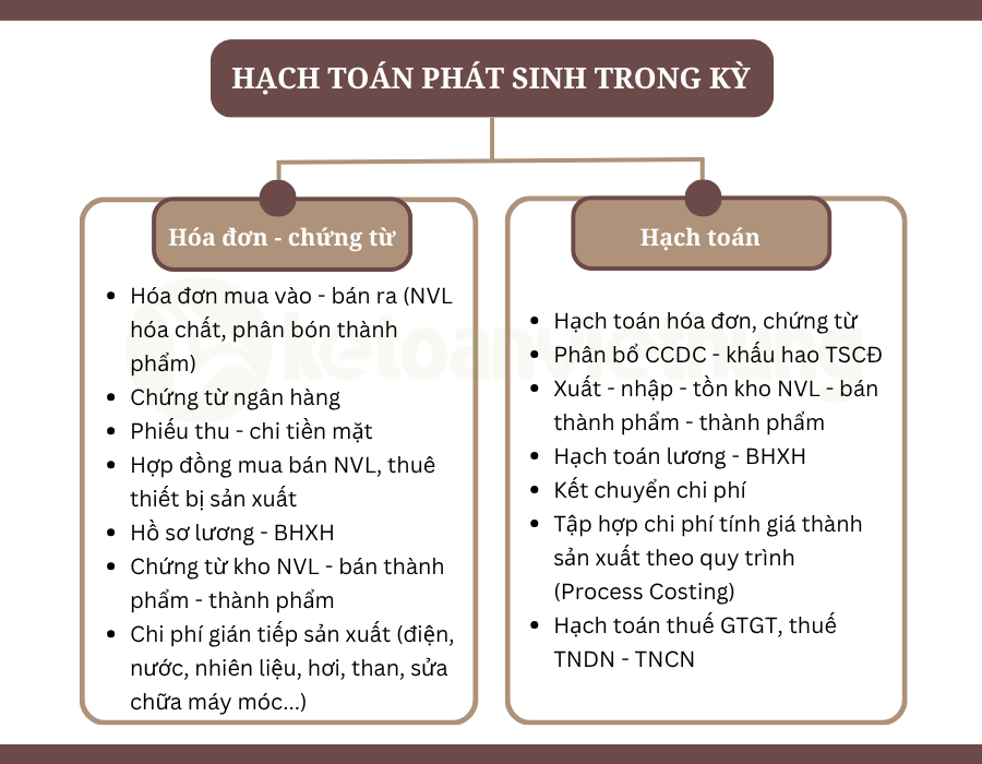 kế toán tổng hợp công ty sản xuất phân bón 3