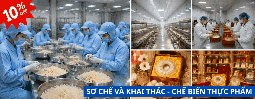 kế toán công ty yến sào 2