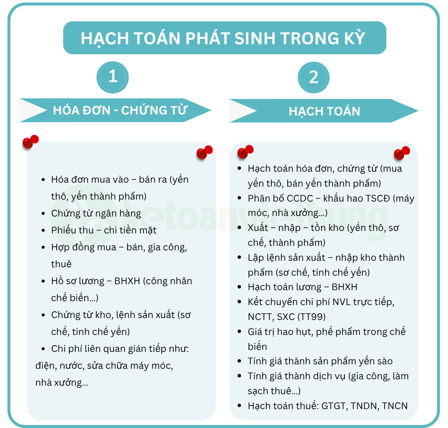 kế toán công ty yến sào 4